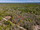 7252 Sonia Avenue - Photo 9