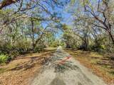 7262 Sonia Avenue - Photo 3