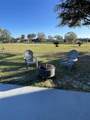 4005 Chelsea Lane - Photo 16
