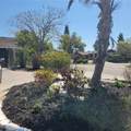 9436 Palm Avenue - Photo 68