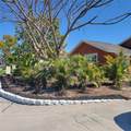 9436 Palm Avenue - Photo 69