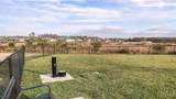 3887 Immacolata Way - Photo 19