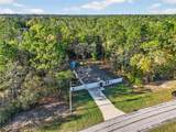 10058 Athenia Drive - Photo 5