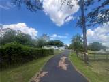 5855 Jack Brack Road - Photo 51