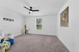 13209 Wildflower Meadow Drive - Photo 43