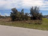 31073 Peace Street - Photo 2
