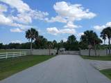 1102 Hidden Palms Drive - Photo 4