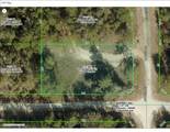 000 Sawbill Avenue - Photo 1