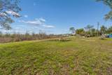 36841 Conley Street - Photo 14