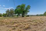 36841 Conley Street - Photo 21