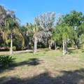 10502 Hinds Place - Photo 8