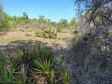 1873 Foxglove Road - Photo 14