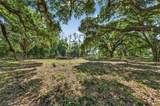  Carlton Road - Photo 54