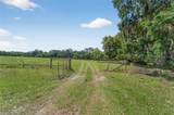  Carlton Road - Photo 61