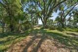  Carlton Road - Photo 62