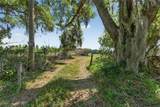  Carlton Road - Photo 63