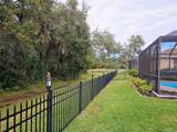 12538 Cara Cara Loop - Photo 39