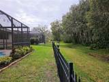 12538 Cara Cara Loop - Photo 41