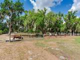 9819 Allen Road - Photo 51