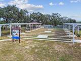 14242 Action Street - Photo 40