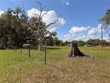20512 Ramer Road - Photo 4