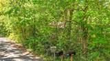 Lot 001 37TH Drive - Photo 6