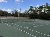 1250 Pinellas Avenue - Photo 4