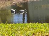 1250 Pinellas Avenue - Photo 47