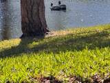 1250 Pinellas Avenue - Photo 48