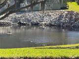 1250 Pinellas Avenue - Photo 49
