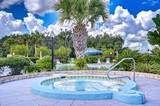 35151 Colony Hills Drive - Photo 58
