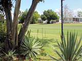 47 Thatch Palm Street - Photo 12