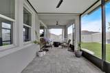 32265 Conchshell Sail Street - Photo 8