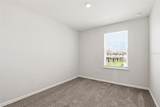 10715 Ironwood Tree Way - Photo 41
