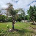 26739 Foamflower Boulevard - Photo 14