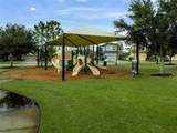 7232 Seedpod Loop - Photo 4