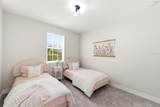 28907 Revaro Lane - Photo 51