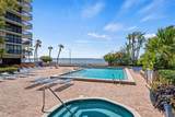 2413 Bayshore Boulevard - Photo 87