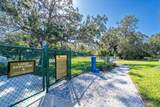 8728 Starry Night Terrace - Photo 47