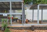 6702 Josie Drive - Photo 42