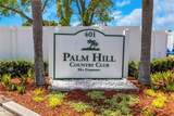 106 Thatch Palm Street - Photo 54
