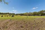8236 Wire Road - Photo 18