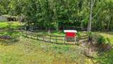 30151 Lynne Drive - Photo 56