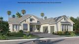 6156 Dusk Rose Lane - Photo 1