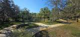 10741 Pinto Drive - Photo 40