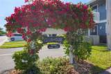 6033 34TH Street - Photo 36