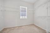 10206 Shadow Branch Drive - Photo 48