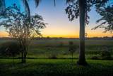 1472 Ivydale Road - Photo 47