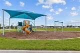32003 Conchshell Sail Street - Photo 45