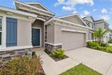 32003 Conchshell Sail Street - Photo 7